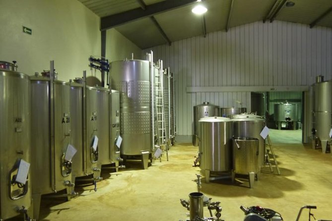 Algarve Wine Tour of Two Wine Estates - Visiting the First Winery