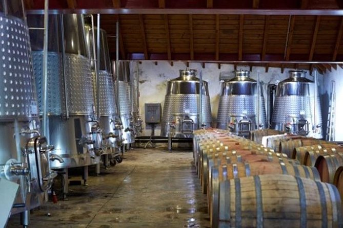 Algarve Wine Tour of Two Wine Estates - Visiting the Second Winery