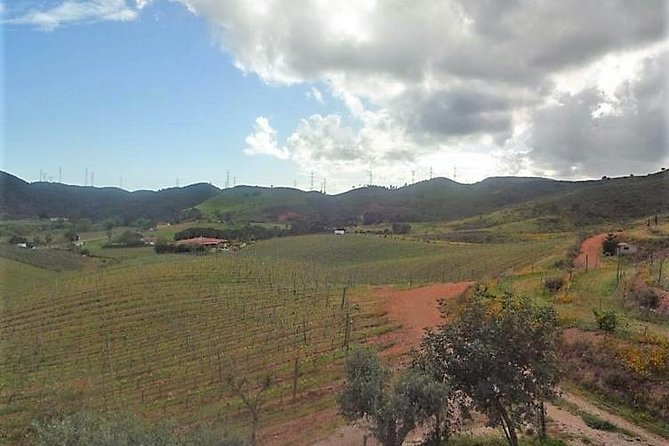 Algarve Wine Tour of Two Wine Estates - Tour Inclusions and Exclusions