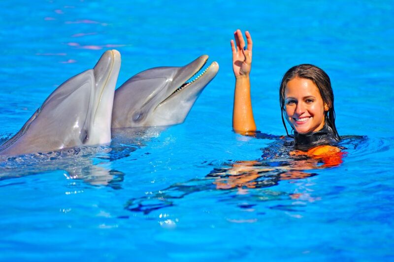 Algarve: Zoomarine Amusement Park Entry Ticket - Aquarium and Marine Life