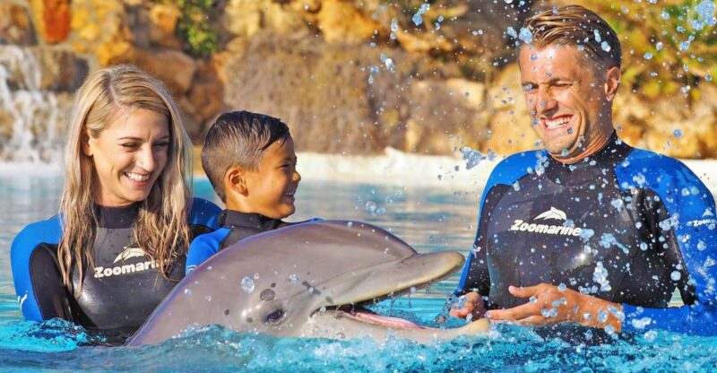 Algarve Zoomarine Ticket and Dolphin Emotions Experience - Key Points