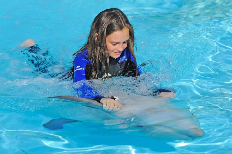 Algarve Zoomarine Ticket and Dolphin Emotions Experience - Dolphin Interaction Details