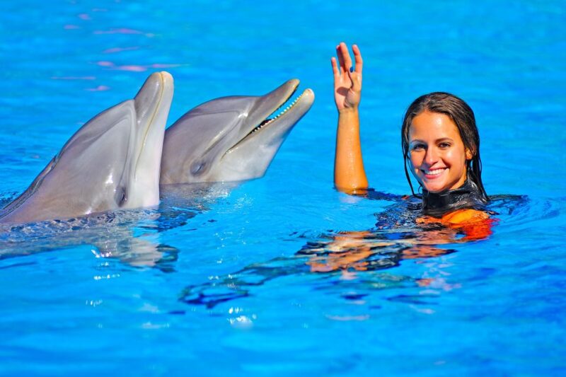 Algarve Zoomarine Ticket and Dolphin Emotions Experience - Amenities and Logistics