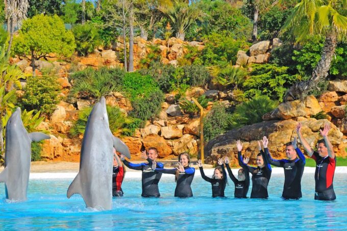 Algarve Zoomarine Ticket and Dolphin Emotions Experience - Frequently Asked Questions