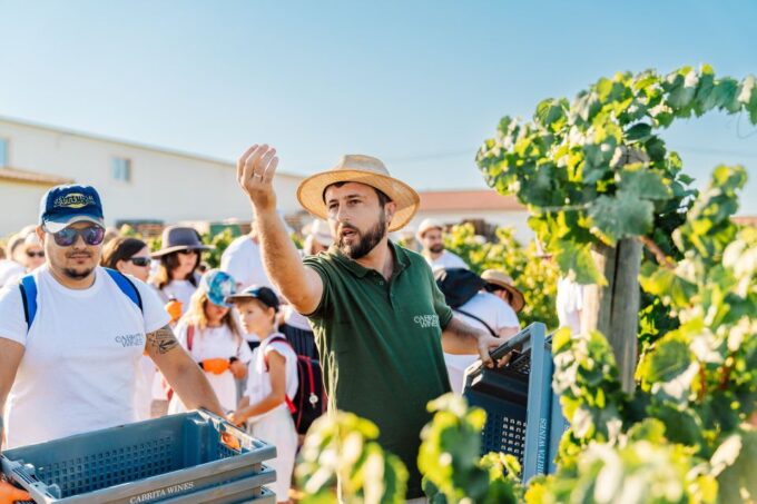Algarves Classic Wine Tasting - Frequently Asked Questions
