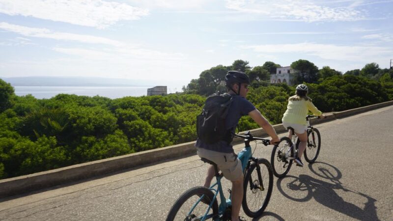 Alghero: Coral Coast Bicycle Tour - Participant Restrictions
