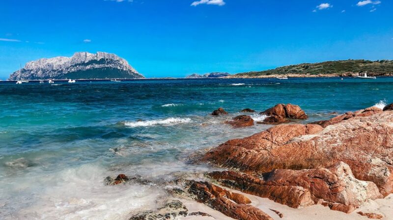 Alghero: Full-Day Sailing Excursion - Inclusions and Equipment