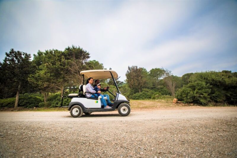 Alghero: Golf Car Hire in Porto Conte Natural Park - Key Points