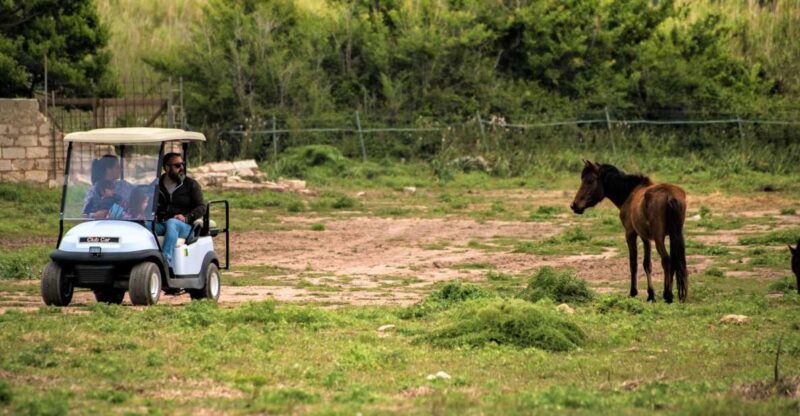 Alghero: Golf Car Hire in Porto Conte Natural Park - Experience Highlights