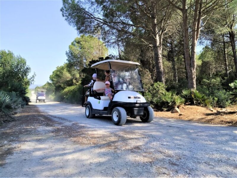 Alghero: Golf Car Hire in Porto Conte Natural Park - Customer Feedback and Recommendations