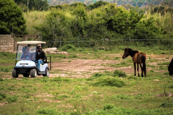 Alghero: Golf Car Hire in Porto Conte Natural Park - Exploring Prigionette Reserve