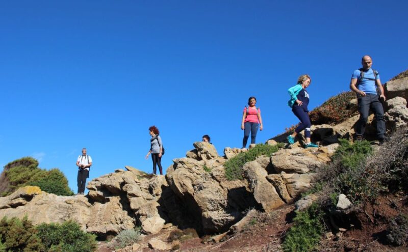 Alghero: Griffon Vulture Trek in Porto Conte Park - Key Points