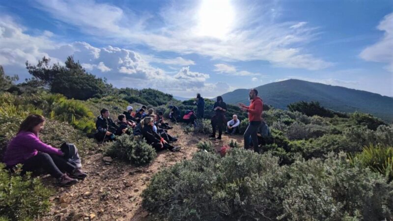 Alghero: Griffon Vulture Trek in Porto Conte Park - Experience Highlights