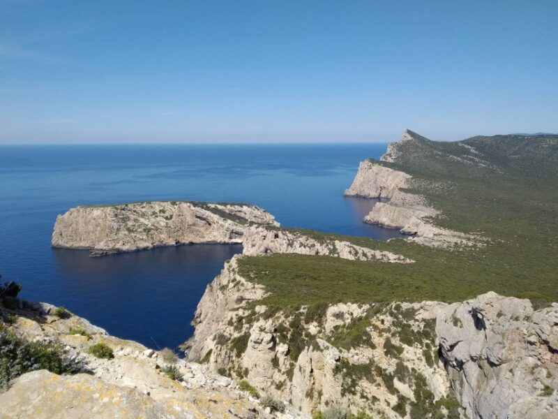 Alghero: Griffon Vulture Trek in Porto Conte Park - Important Information