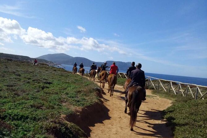 Alghero: Guided Horseback Ride at Lake Baratz & Porto Ferro - About Your Stay