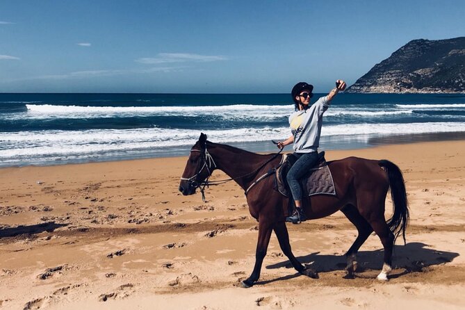 Alghero: Guided Horseback Ride at Lake Baratz & Porto Ferro - Participant Information