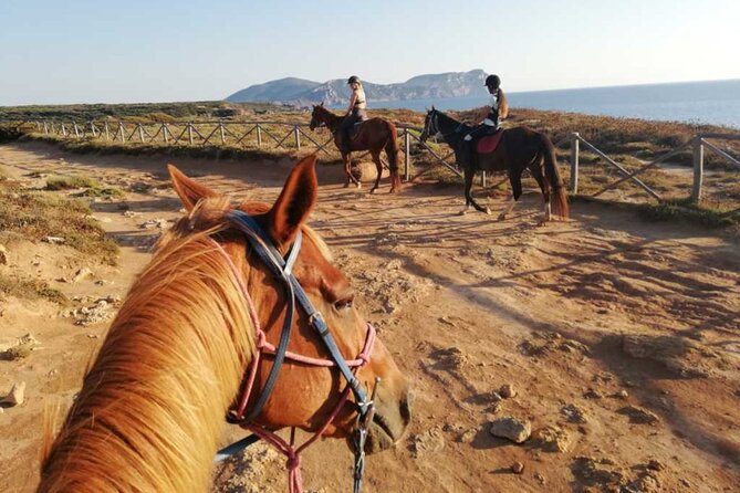 Alghero: Guided Horseback Ride at Lake Baratz & Porto Ferro - Ideal for All Riding Levels