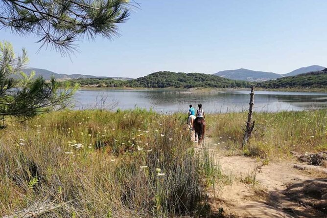 Alghero: Guided Horseback Ride at Lake Baratz & Porto Ferro - Positive Reviews and Feedback