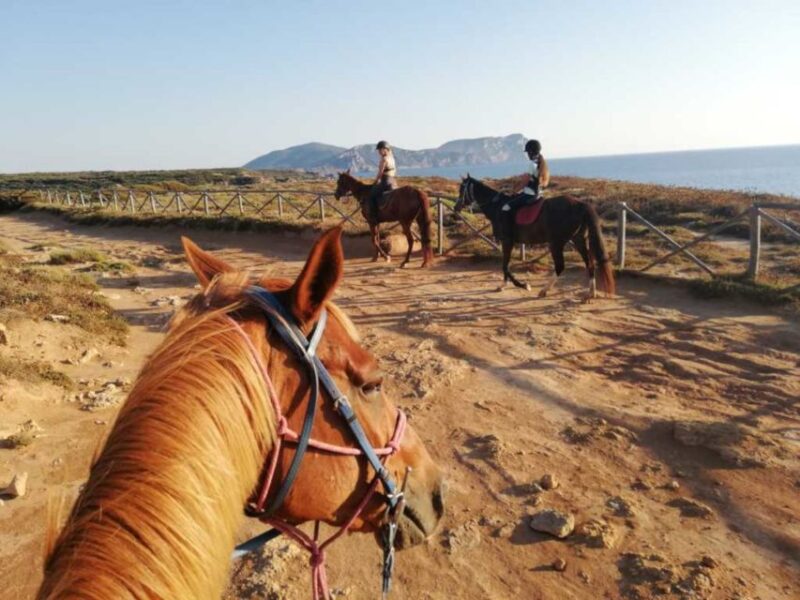 Alghero: Guided Horseback Ride at Lake Baratz & Porto Ferro - Tour Details
