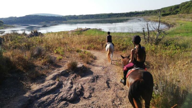Alghero: Guided Horseback Ride at Lake Baratz & Porto Ferro - Participant Requirements