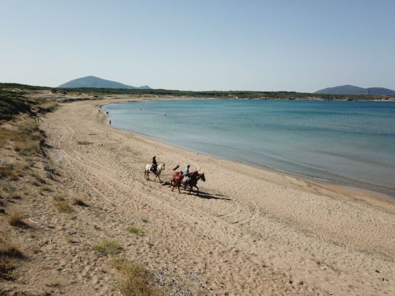 Alghero: Guided Horseback Ride at Lake Baratz & Porto Ferro - Customer Feedback