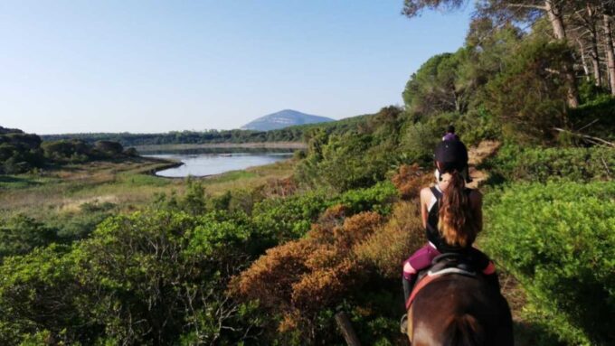 Alghero: Guided Horseback Ride at Lake Baratz & Porto Ferro - Meeting Point and Logistics