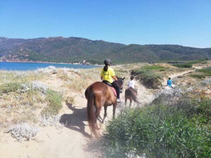 Alghero: Guided Horseback Ride at Lake Baratz & Porto Ferro - Booking and Cancellation