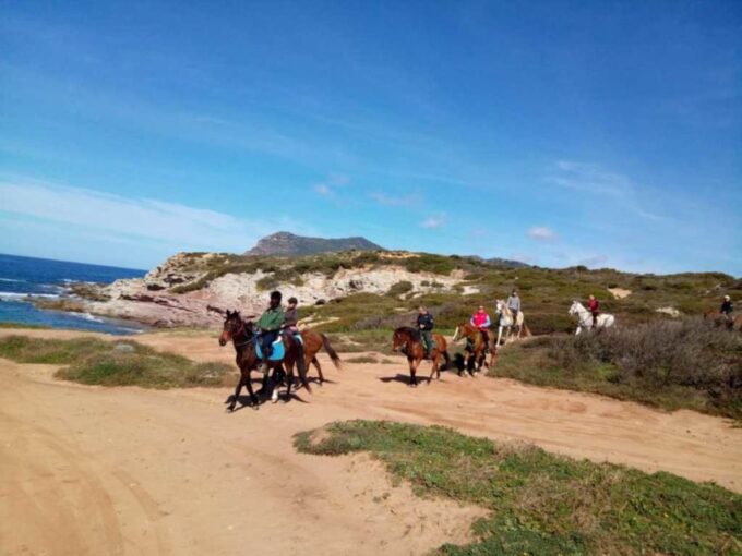 Alghero: Guided Horseback Ride at Lake Baratz & Porto Ferro - Frequently Asked Questions