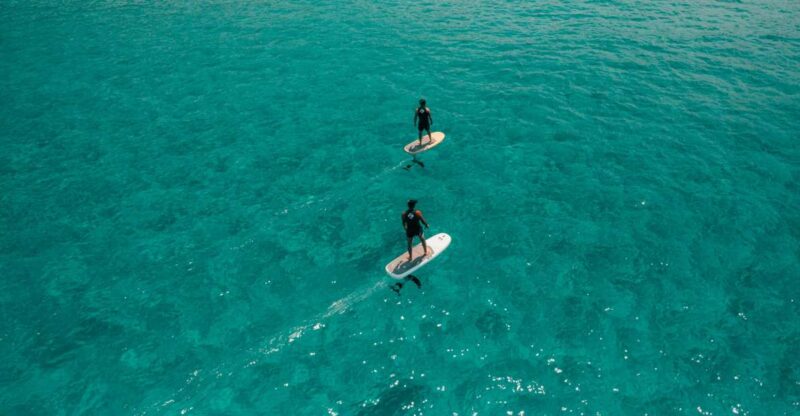 Alghero: Gulf of Alghero E-Surf Excursion - Instructor Expertise and Safety