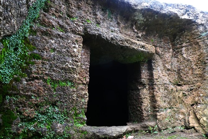 Alghero: Private Archaeological Tour (Transfer Included) With Local Guide - Visiting the Necropolis of Anghelu Ruju