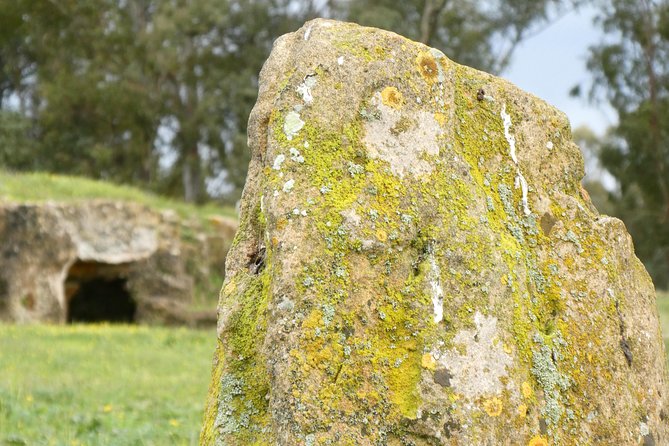 Alghero: Private Archaeological Tour (Transfer Included) With Local Guide - Tour Accommodations and Group Size