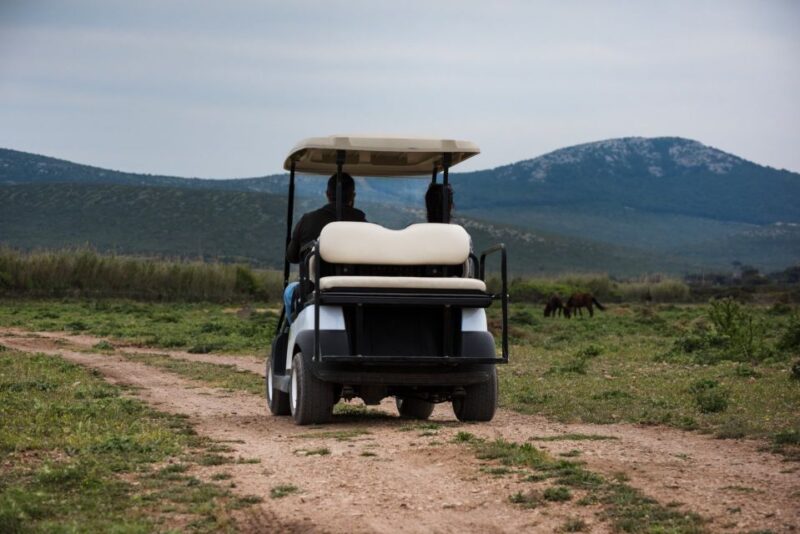 Alghero: Tour by Golf Cart in Porto Conte Park - Preparation and Important Information