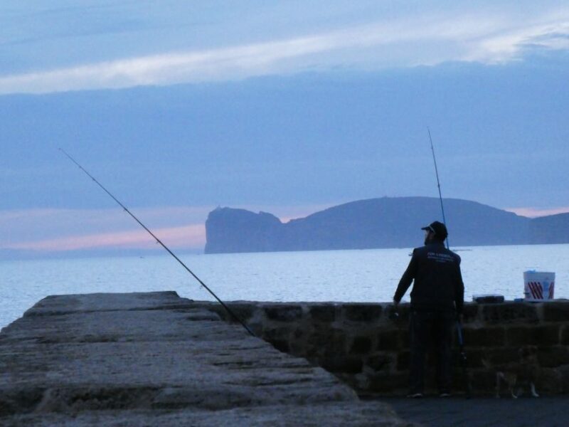 Alghero Walking Tour With Local Guide - Cultural Insights and Recommendations