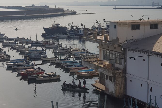 Algiers Casbah Visit - Cultural Immersion
