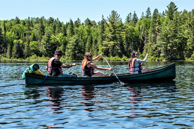 Algonquin Park Luxury 3-Day Camping & Canoeing: Moose/Beaver/Turtle Adventure - Tent and Campsite Setup