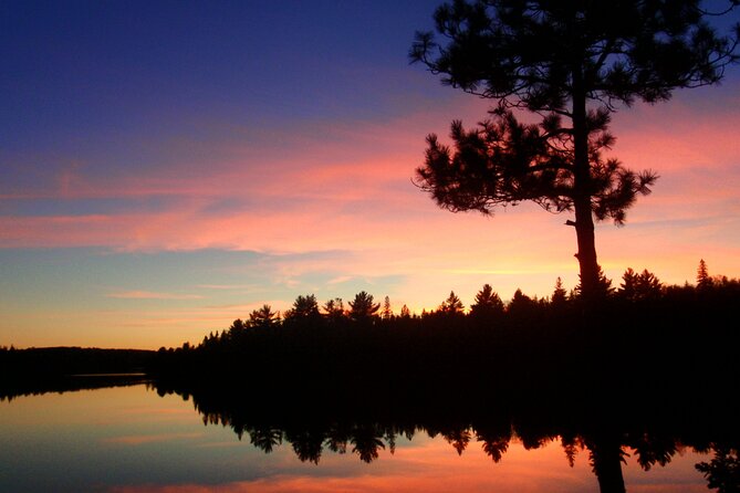 Algonquin Park Luxury 3-Day Camping & Canoeing: Moose/Beaver/Turtle Adventure - Paddle Through Scenic Waterways