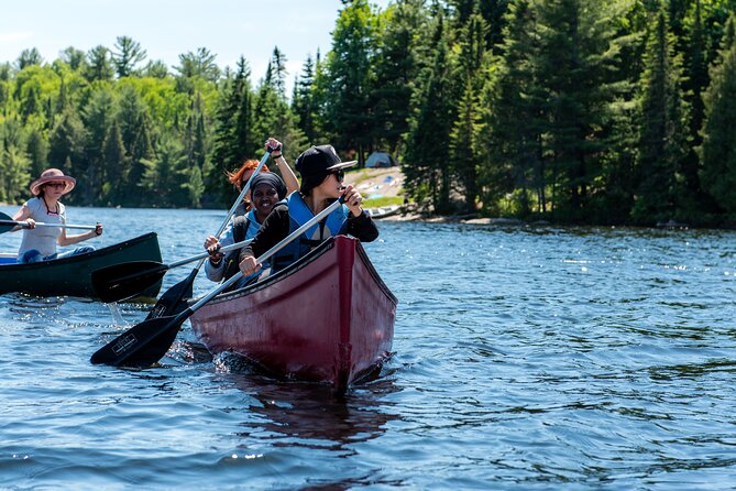 Algonquin Park Luxury 3-Day Camping & Canoeing: Moose/Beaver/Turtle Adventure - Departure and Memories