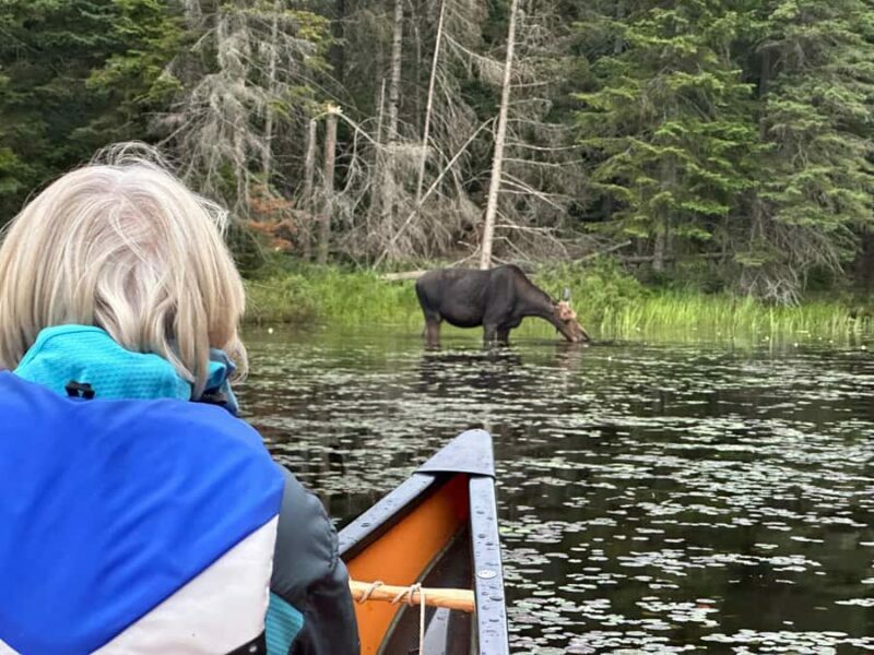 Algonquin Park: Luxury 4-Day/3-night Canoe and Camping Tour - Practical Aspects: What’s Included and What’s Not