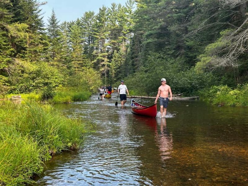 Algonquin Park: Luxury 4-Day/3-night Canoe and Camping Tour - Who Should Consider This Tour?
