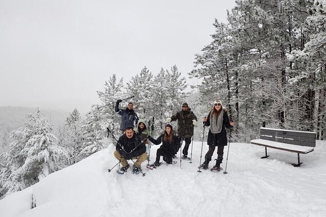 Algonquin Park Winter Adventure - Safety Considerations