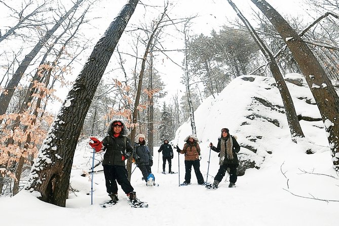 Algonquin Park Winter Adventure - Breathtaking Scenery