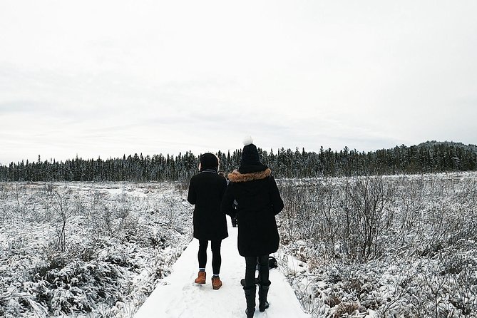 Algonquin Park Winter Adventure - Guided Exploration