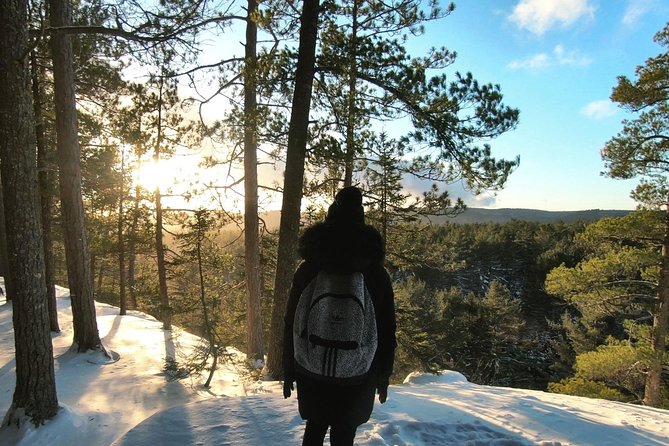 Algonquin Park Winter Adventure - Testimonials