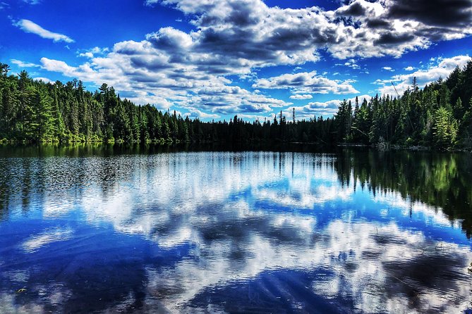 Algonquin Provincial Park Day Tour From Toronto - Included Activities