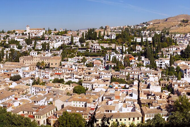 Alhambra and Albaicin Private Day Trip From Malaga - Private Transportation and Knowledgeable Guide