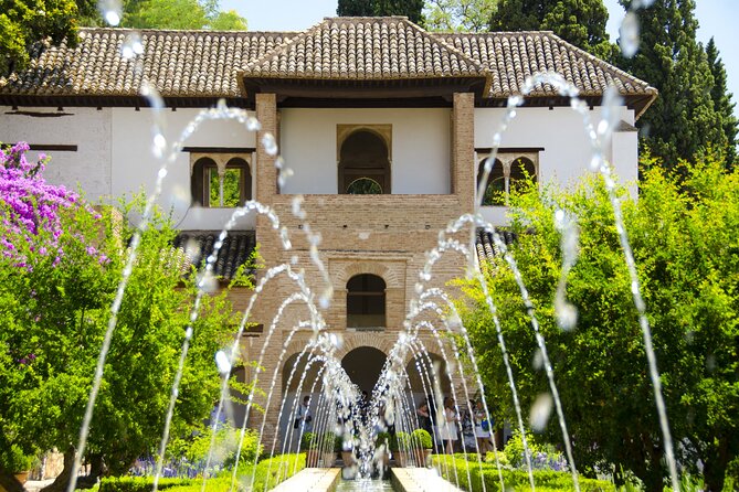 Alhambra and Albaicin Private Tour With Official Guide - Tour Inclusions and Requirements