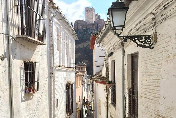 Alhambra and Albaycin Private Tour - Discovering Albaycin