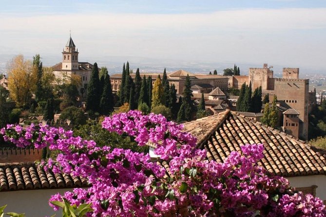 Alhambra and Generalife Gardens Tour With Skip the Line Tickets - Alhambra Highlights