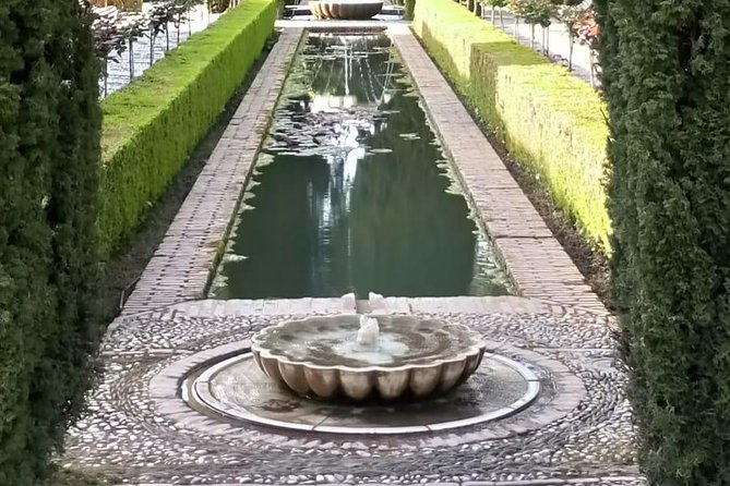 Alhambra and Generalife Private Guided Tour With Optional Nasrid Palaces - Tour Requirements and Inclusions