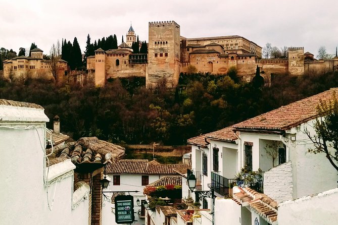 Alhambra and Granada City Center Sightseeing Tour! - Inclusions and Logistics